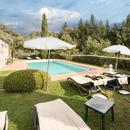 Casetta Di Butia, Ginestra Apartment With Swimming Pool Borgo a Mozzano Eksteriør bilde