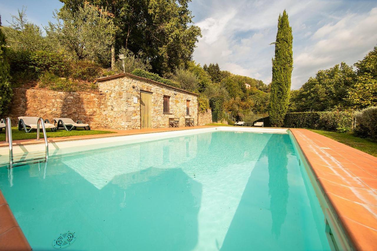 Casetta Di Butia, Ginestra Apartment With Swimming Pool Borgo a Mozzano Eksteriør bilde