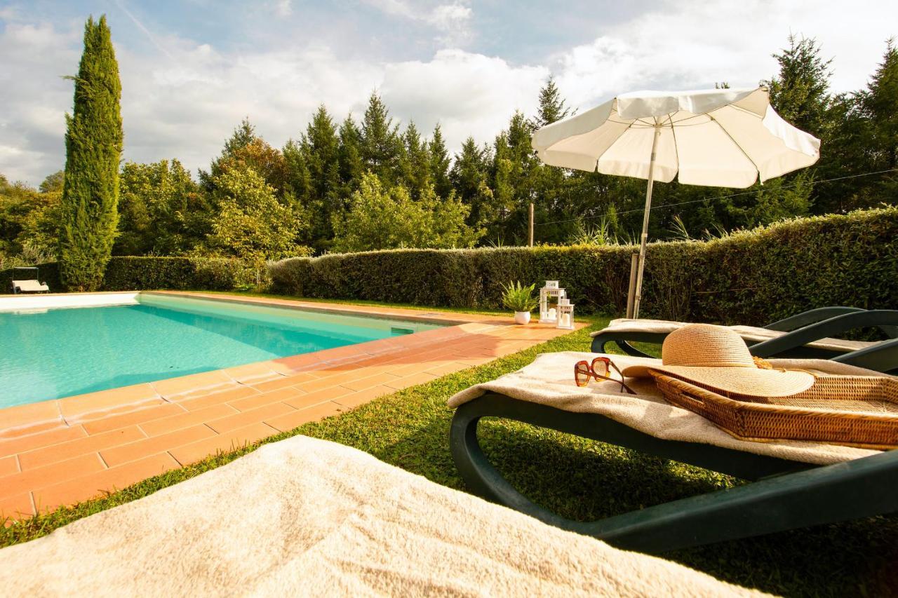 Casetta Di Butia, Ginestra Apartment With Swimming Pool Borgo a Mozzano Eksteriør bilde