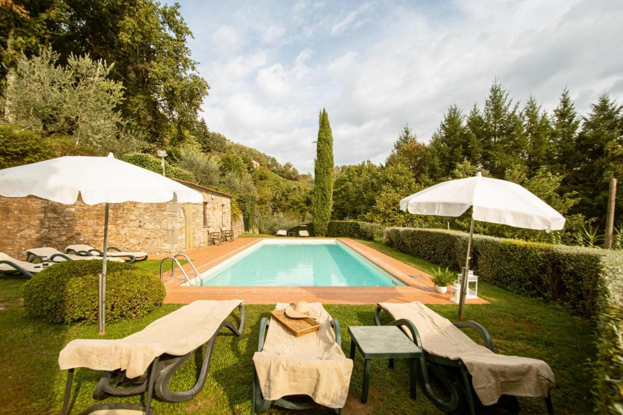 Casetta Di Butia, Ginestra Apartment With Swimming Pool Borgo a Mozzano Eksteriør bilde