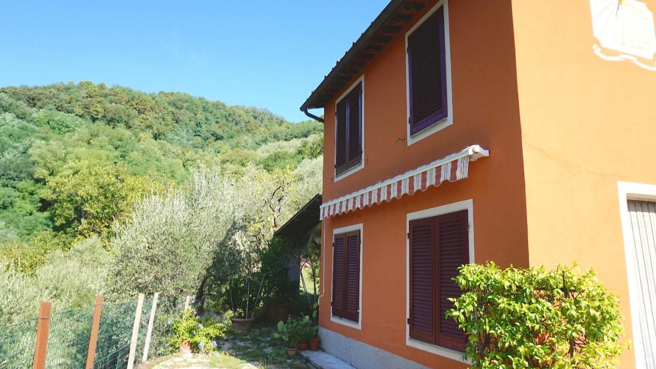 Casetta Di Butia, Ginestra Apartment With Swimming Pool Borgo a Mozzano Eksteriør bilde
