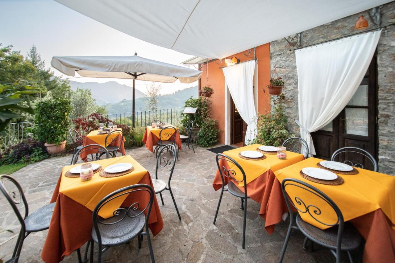 Casetta Di Butia, Ginestra Apartment With Swimming Pool Borgo a Mozzano Eksteriør bilde