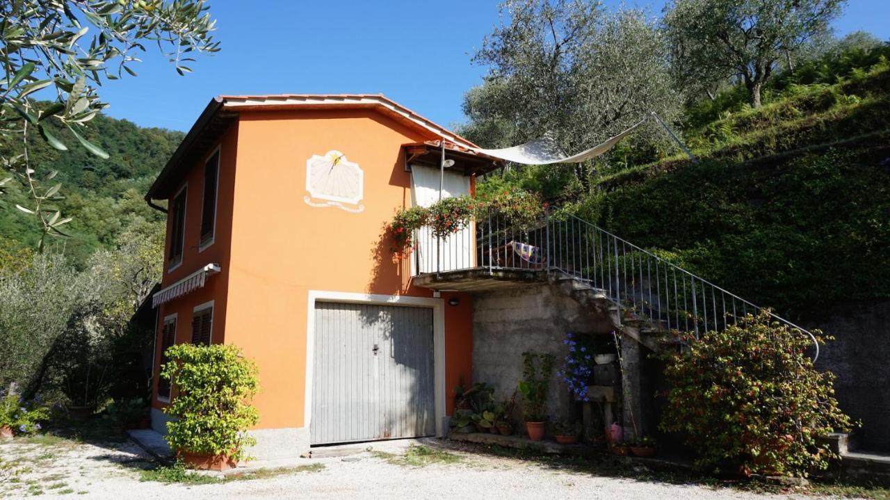 Casetta Di Butia, Ginestra Apartment With Swimming Pool Borgo a Mozzano Eksteriør bilde