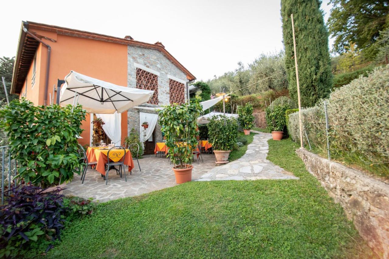 Casetta Di Butia, Ginestra Apartment With Swimming Pool Borgo a Mozzano Eksteriør bilde