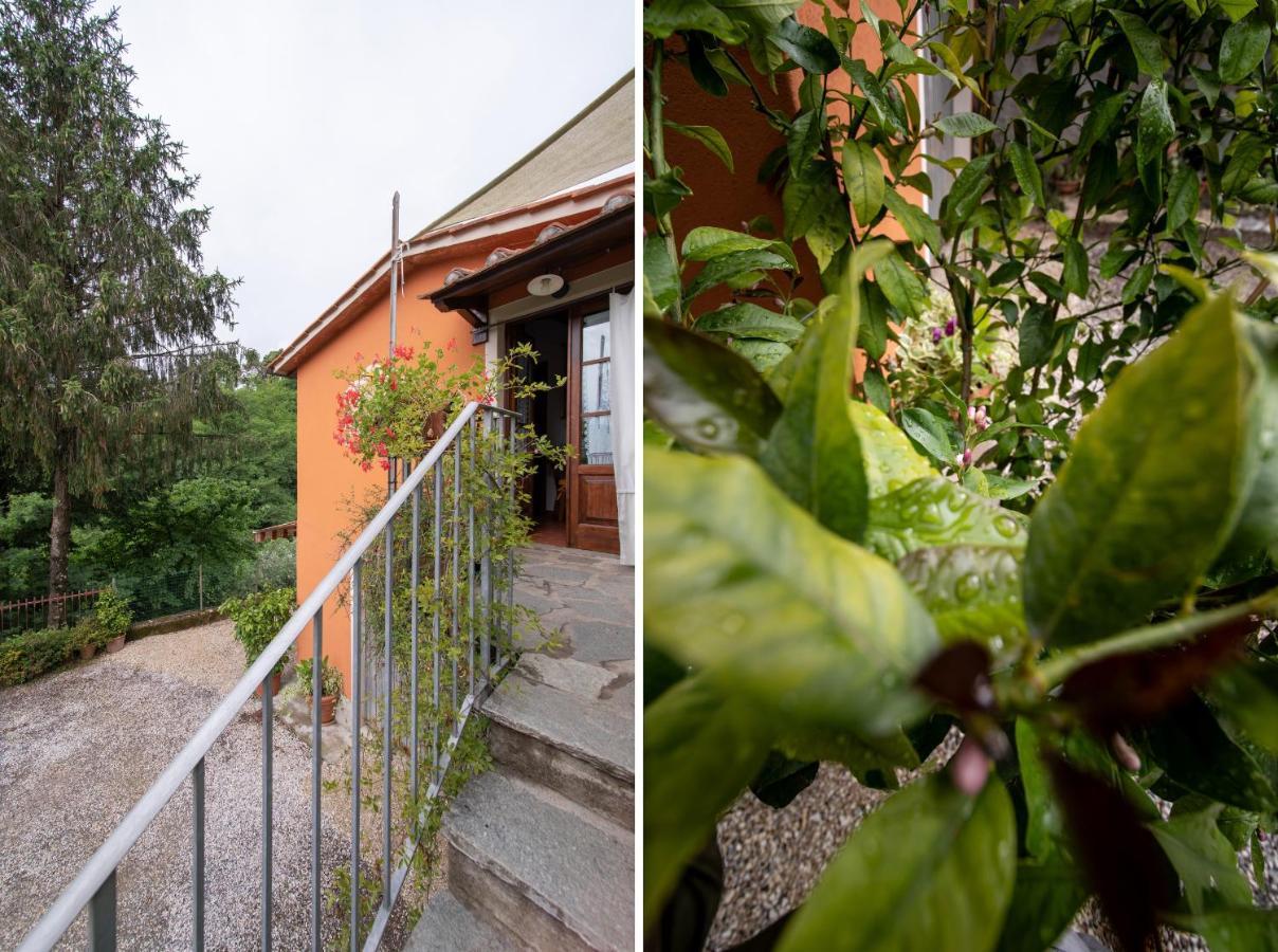 Casetta Di Butia, Ginestra Apartment With Swimming Pool Borgo a Mozzano Eksteriør bilde