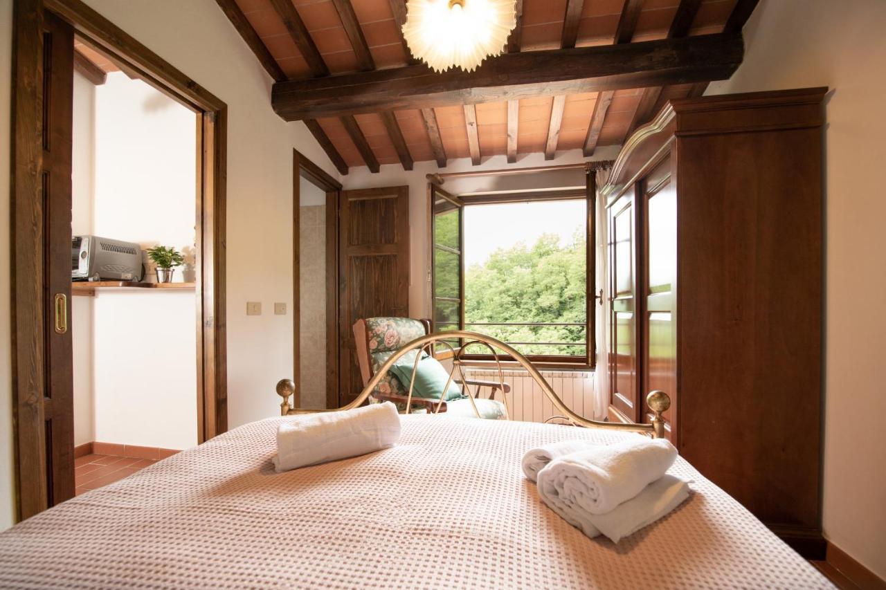 Casetta Di Butia, Ginestra Apartment With Swimming Pool Borgo a Mozzano Eksteriør bilde