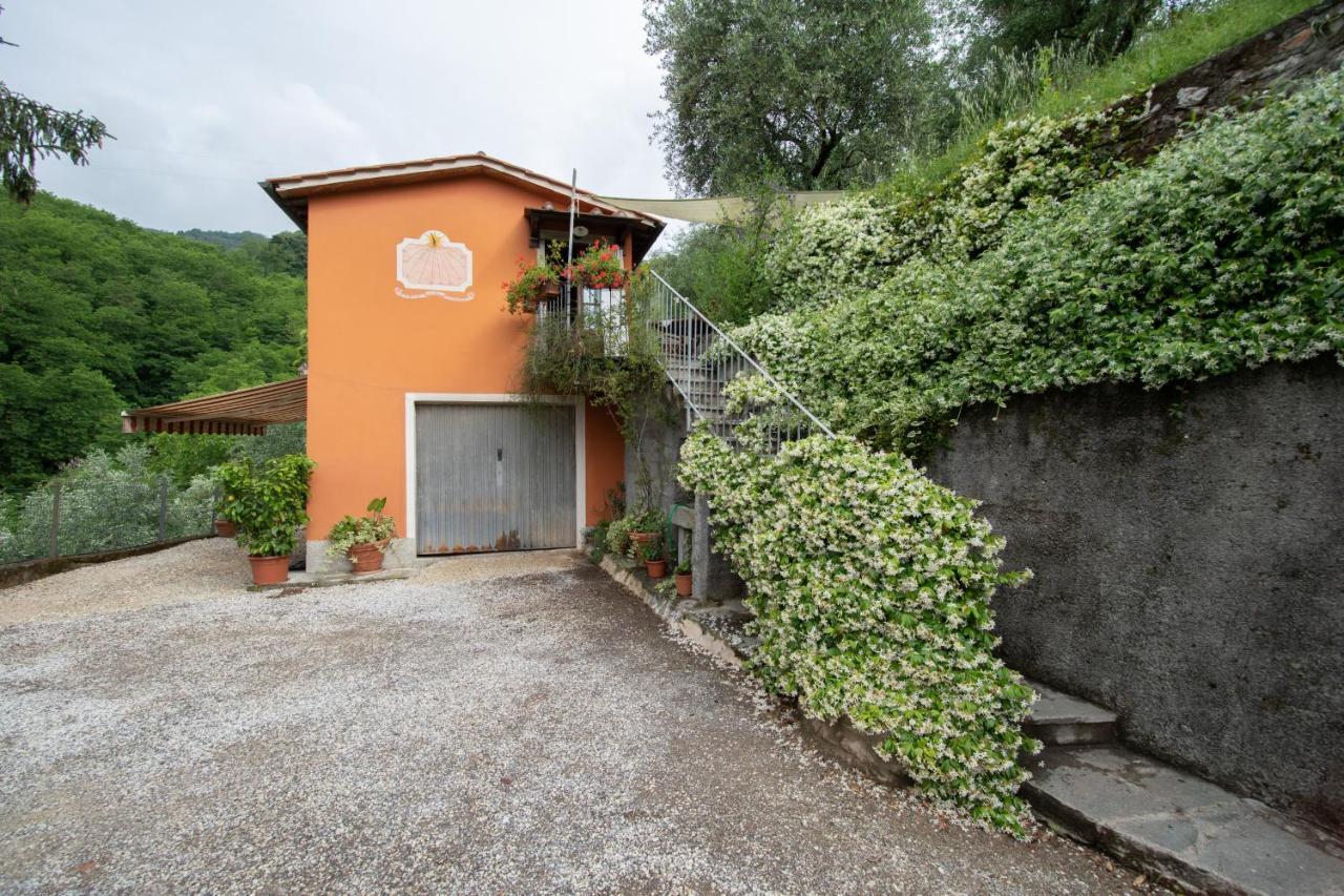 Casetta Di Butia, Ginestra Apartment With Swimming Pool Borgo a Mozzano Eksteriør bilde