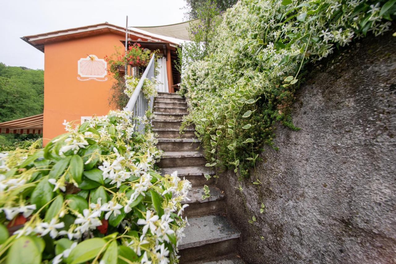 Casetta Di Butia, Ginestra Apartment With Swimming Pool Borgo a Mozzano Eksteriør bilde