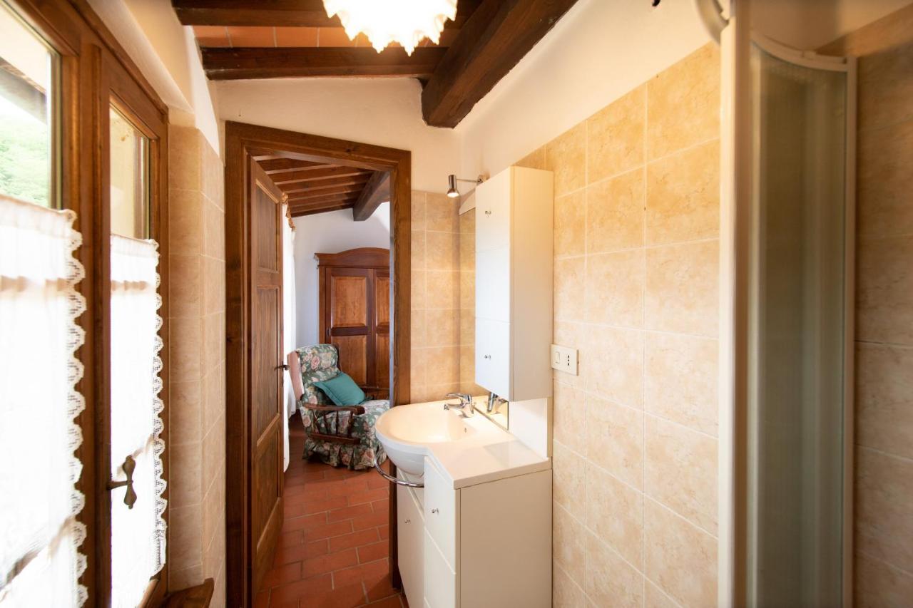 Casetta Di Butia, Ginestra Apartment With Swimming Pool Borgo a Mozzano Eksteriør bilde